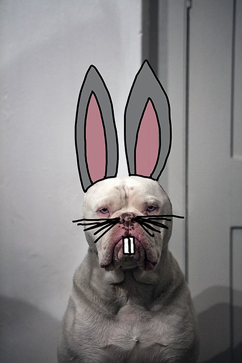 the real easter bunny