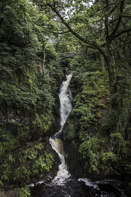 before we had an air force, we had aira force