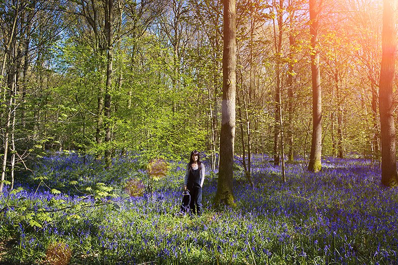 lucy in the woods with bluebells 