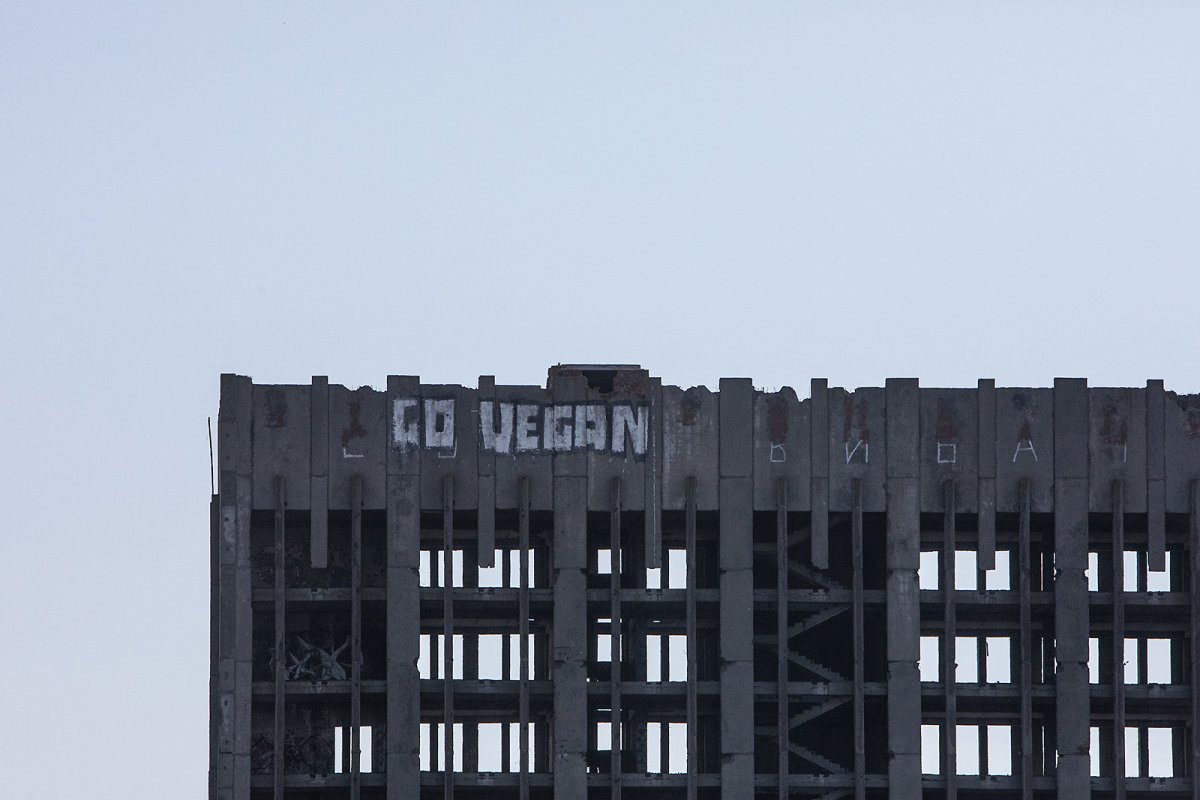 vegans in a warzone